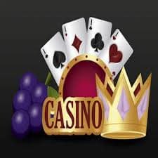 277 bet app