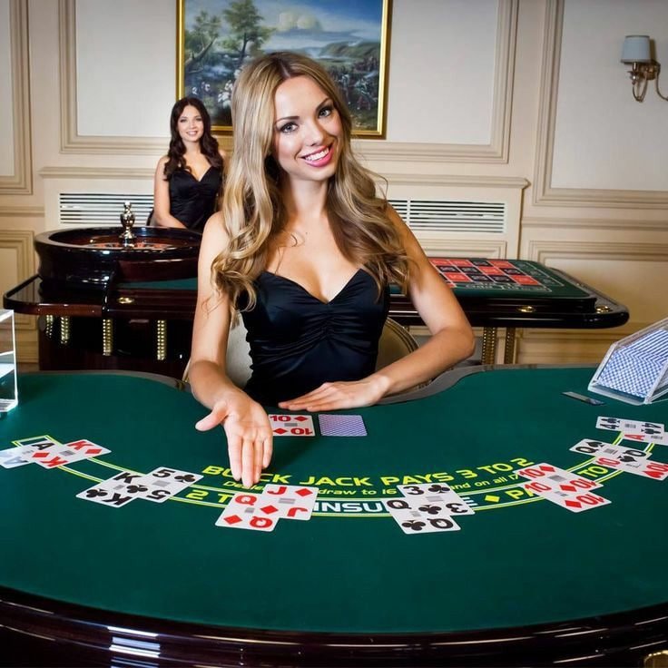 277 bet app